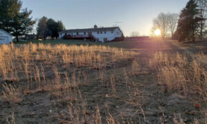 Farm house