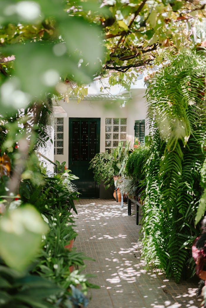 A serene path surrounded by lush greenery leading to a green door under a summer canopy.