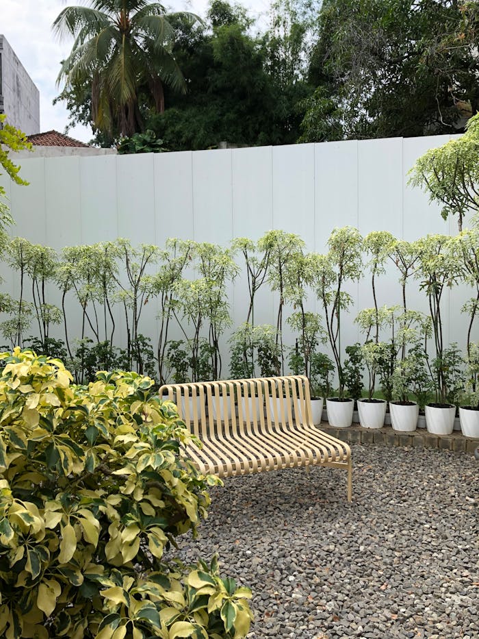 A peaceful garden scene featuring a wooden bench surrounded by vibrant greenery on a sunny day.